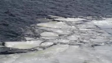 Vyshgorod, Ukrayna Kiev denizde baharın ilk gün yakın: