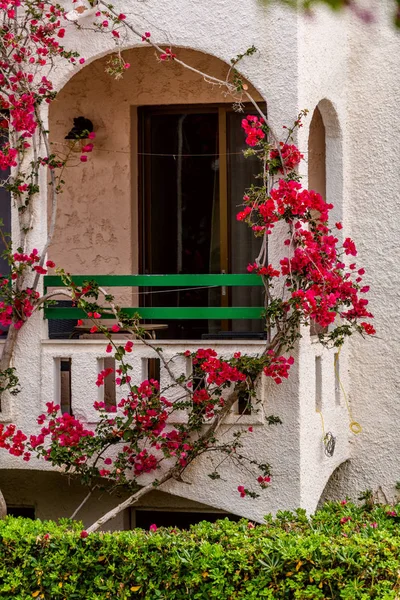 Cretan virágzó bougainvillaea fa és fehér ház. Kréta, Görögország — Stock Fotó