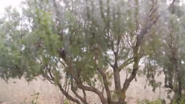 Burzowa Pogoda Deszczem Wyspie Kreta Grecja — Wideo stockowe