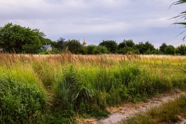 Ukrayna'da Dymer köyü yakınlarında Kiev denizinde gün batımı.