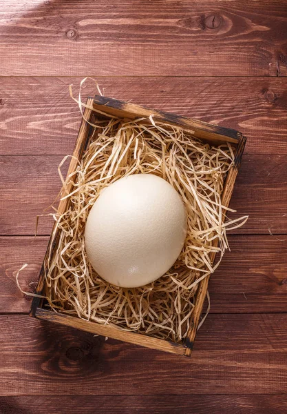 Αυγό στρουθοκαμήλου σε άχυρο σε ξύλινο κουτί, για διατύπωση, σκούρο φόντο — Φωτογραφία Αρχείου