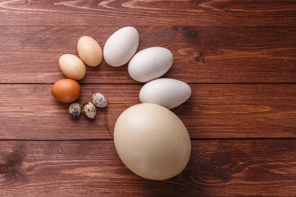 Huevos de codorniz, huevos de gallina, huevos de ganso, huevos ostricg — Foto de Stock