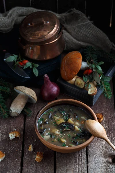 Грибной суп в керамической миске с медной сковородой и грибами на заднем плане, темное фото . — стоковое фото