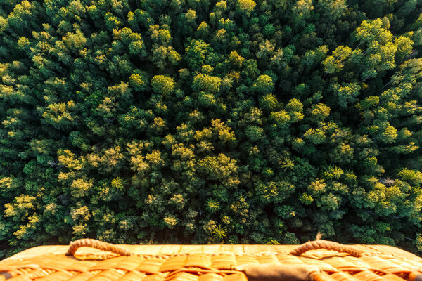 Forest view from air balloon basket, aeral view