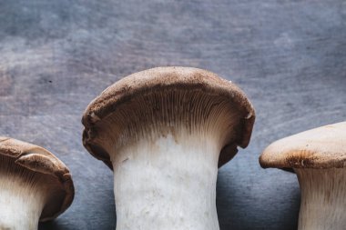 Kral istiridye mantarı, Pleurotus eryngii, karanlık arka plan üzerinde yakın görünümü.