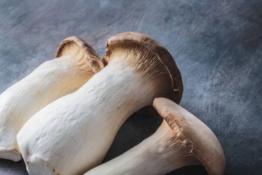 Kral istiridye mantarı, Pleurotus eryngii, koyu arka planda.