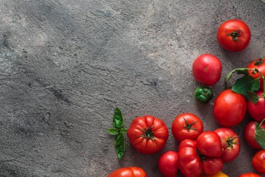 Beton arka planda taze domates. Kopyalama alanı ile üstte görünüm.