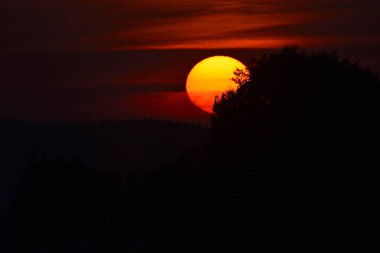 batan güneşin ağacı içinde parlar