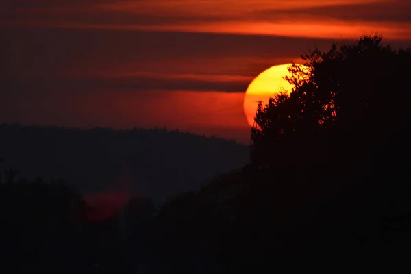 Заходящее Солнце Светит Сквозь Дерево — стоковое фото