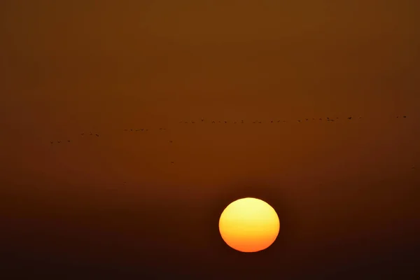 Заход Солнца Ключ Птицы — стоковое фото