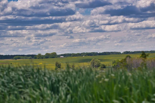 Zicht Bossen Velden Naar Horizon — Stockfoto