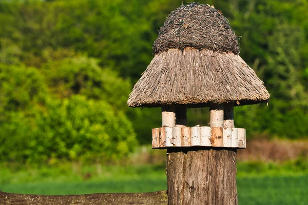 Vogelfutterhäuschen Aus Schilf Und Birke — Stockfoto