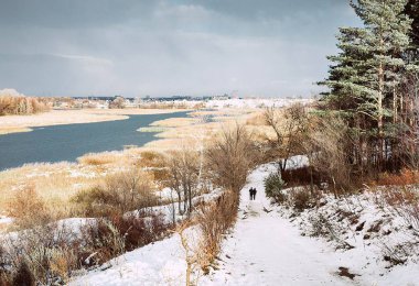 Çam ormanında bahar seli