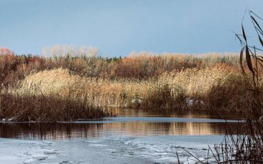      Freezing river in early winter