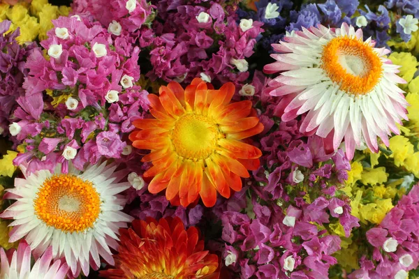 Renkli Statice (Limonium) ve Helichrysum çiçek arka plan