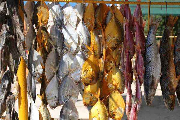 Farklı halatlar Ukrayna güneyinde bir semt pazarı üzerinde asılı tuzlu kuru balık türleri