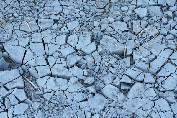 Засохшая трещина. Крупный план. Вид сверху
