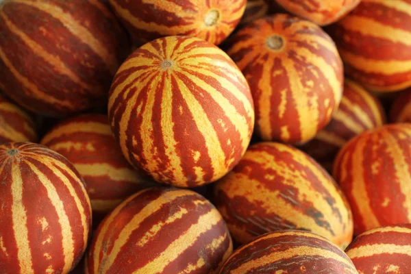 Draufsicht Auf Ein Bündel Holländischer Melonen — kostenloses Stockfoto