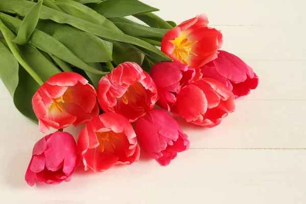 Nine Light Red Pink Tulip Flowers White Painted Wooden Table — Stock Photo, Image