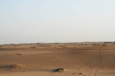 Çölde akşam üstü. Kum tepeleri