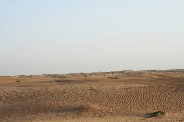 Früher Abend Der Wüste Sanddünen — Stockfoto