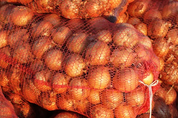 Lökar Förpackade Stora Nät Liggande Marknaden Och Upplyst Solen Söder — Stockfoto