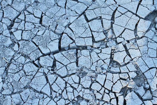 Dried cracked ground. Closeup. View from above — Free Stock Photo