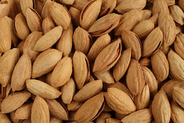 Tampilan atas tumpukan almond panggang ringan dengan kerang — Stok Foto