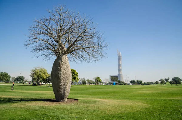 Park, Doha, Katar, Ortadoğu ağaçlara talip.