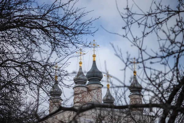 Pereslavl Zalessky Yaroslavl bölgesinde, kış Rusya'da kilisede gri kubbeleri