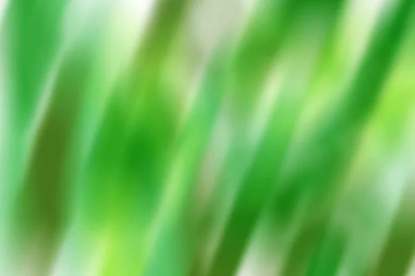 Размытый Фон Зеленых Тонах — стоковое фото