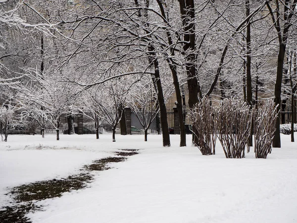 Parque de Inverno — Fotografia de Stock