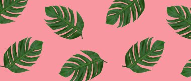 Tropikal palmiye desen, pembe arka plan bırakır.