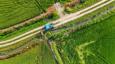 İtalya 'daki pirinç tarlalarındaki traktörün hava görüntüsü. Tarım, tarım arazisi altyapısı ve sürdürülebilir tarım kavramı.