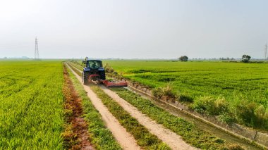 İtalya 'nın kırsal kesimindeki pirinç tarlaları arasındaki toprak yolda ilerleyen bir traktörün hava görüntüsü. Modern tarım ve gıda üretiminin sembolü.