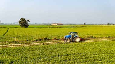 İtalya 'nın kırsal kesimindeki yeşil pirinç tarlasında çalışan bir traktörün hava görüntüsü. Tarım, mahsul üretimi ve mekanize tarım kavramı.