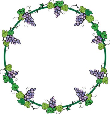 Üzüm demetleri, vektör, illüstrasyon ile asma çerçevesinden 