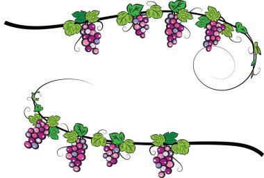 güzel dekoratif çerçeve beyaz arkaplan, vektör, illüstrasyon izole 