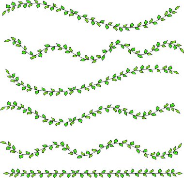 Beyaz arkaplanda yeşil yapraklar var