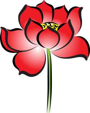 beyaz arkaplanda izole edilmiş güzel nilüfer çiçekleri, vektör, illüstrasyon