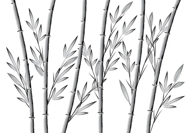 Färgglada Platt Bambu Växter Isolerad Vit Bakgrund Vektor Illustration — Stock vektor