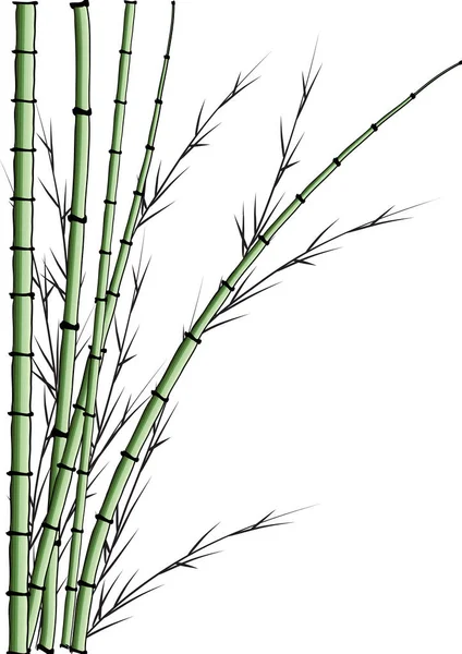 Красочные Плоские Бамбуковые Растения Изолированные Белом Фоне Вектор Иллюстрация — стоковый вектор