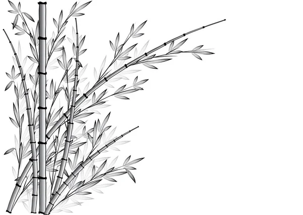 Красочные Плоские Бамбуковые Растения Изолированы Белом Фоне Вектор Иллюстрация — стоковый вектор