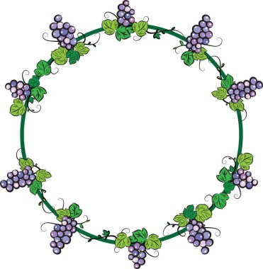 Üzüm demetleri, vektör, illüstrasyon ile asma çerçevesinden 