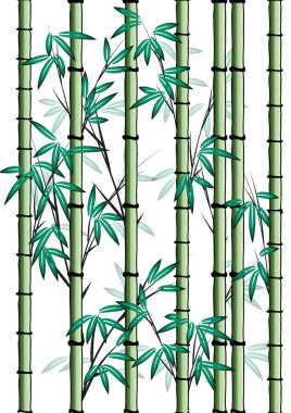 Düz bambu bitkilerinden kusursuz desen, vektör, illüstrasyon  