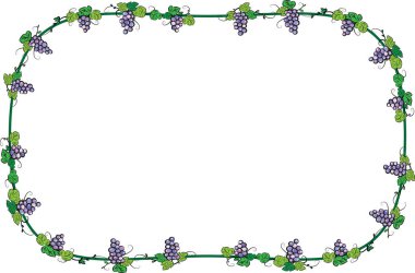 Üzüm demetleri, vektör, illüstrasyon ile asma çerçevesinden 