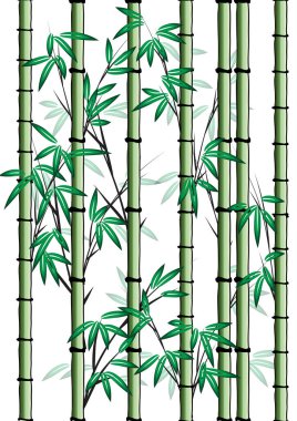 Beyaz arkaplanda izole edilmiş renkli düz bambu bitkileri, vektör, illüstrasyon  