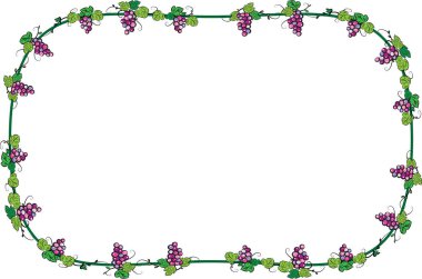 Üzüm demetleri, vektör, illüstrasyon ile asma çerçevesinden 