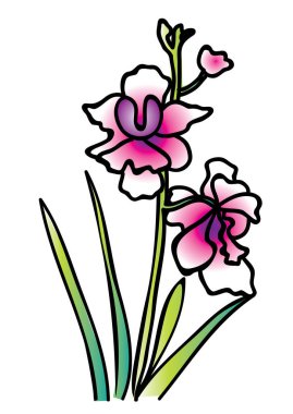 Download Singapore National Flower Premium Vector Download For Commercial Use Format Eps Cdr Ai Svg Vector Illustration Graphic Art Design PSD Mockup Templates