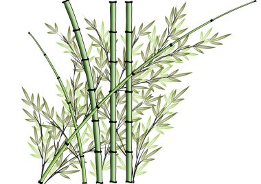 Beyaz arkaplanda izole edilmiş renkli düz bambu bitkileri, vektör, illüstrasyon  